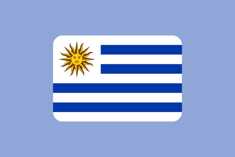 Uruguay flag with nine horizontal stripes alternating white and light blue, and a white square in the upper hoist-side corner featuring a golden Sun of May with a face.