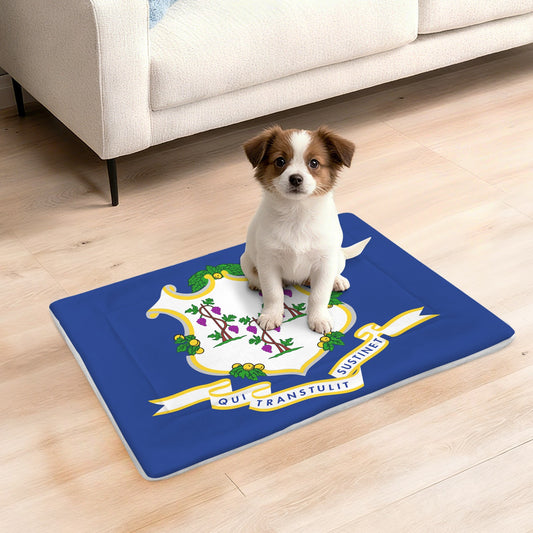 Connecticut Flag Inspired Pet Mat 25x18inch (Made in the USA)