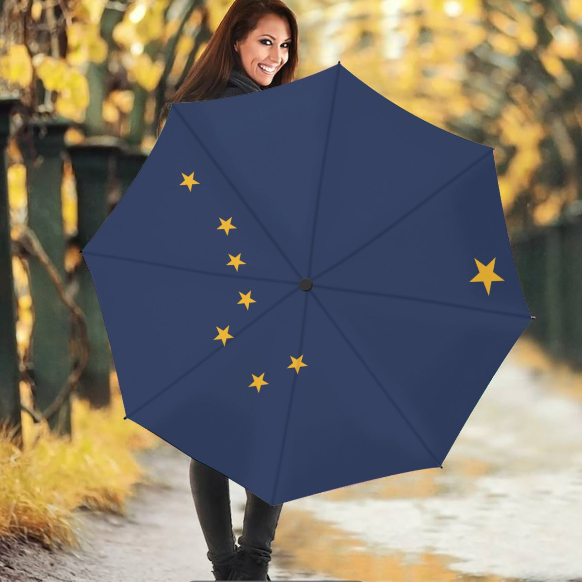 Alaska State Flag Auto Open & Close Travel Umbrella