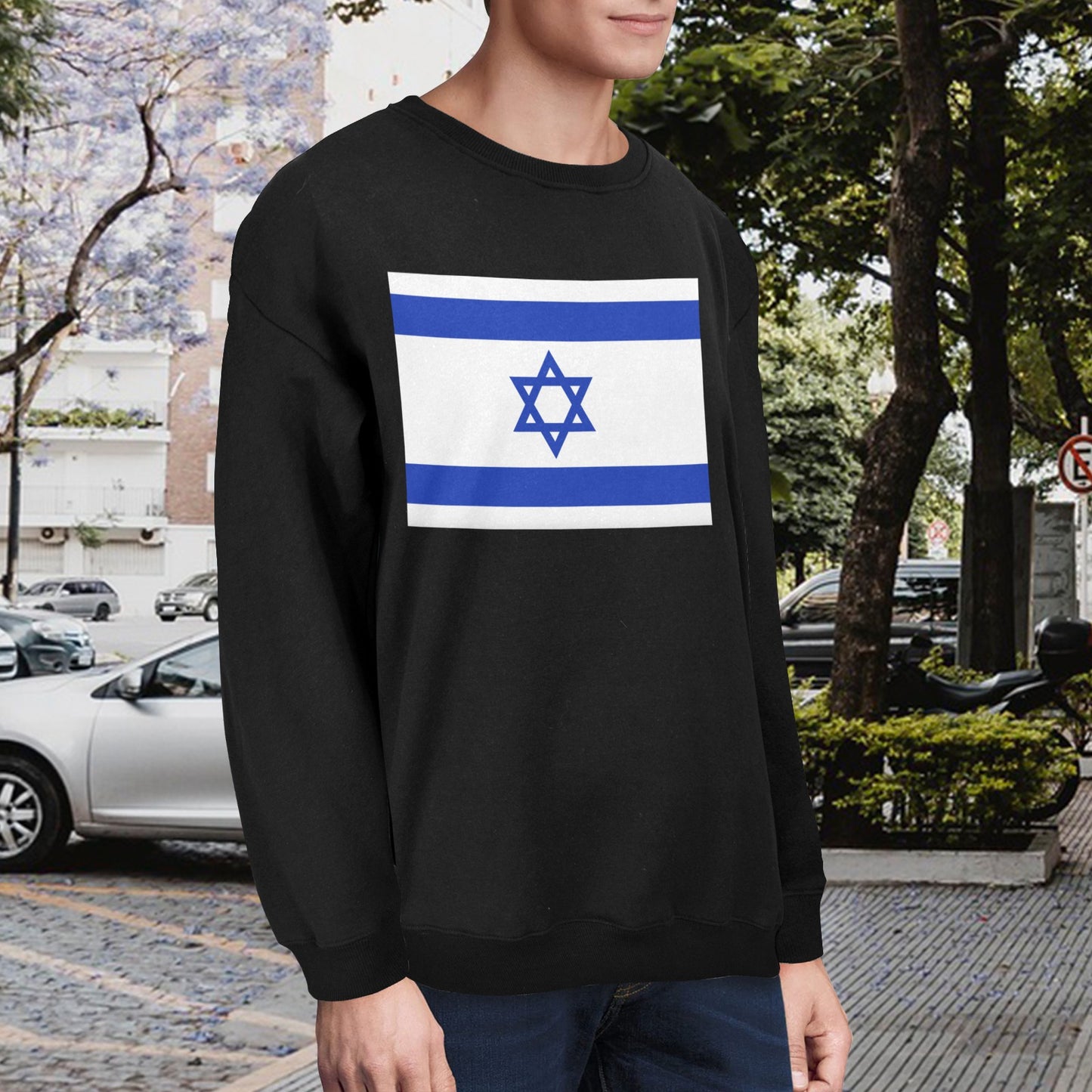 Israel Flag Unisex Fleece Sweatshirt (Made in the USA)