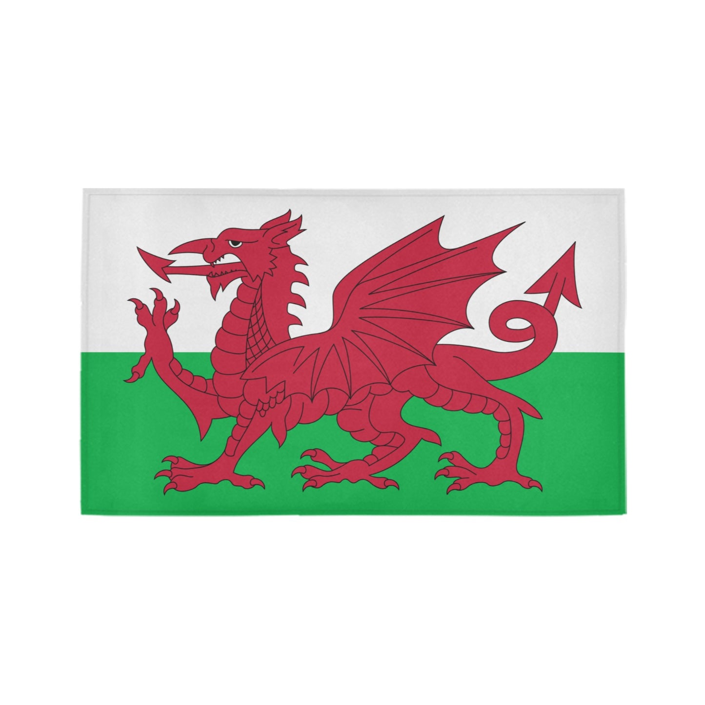 Wales Flag Inspired Doormat 30" x 18" (Sponge Material)