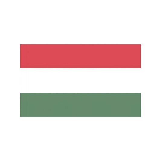 Luv My Flag brand horizontal tricolor flag, red, white, green.