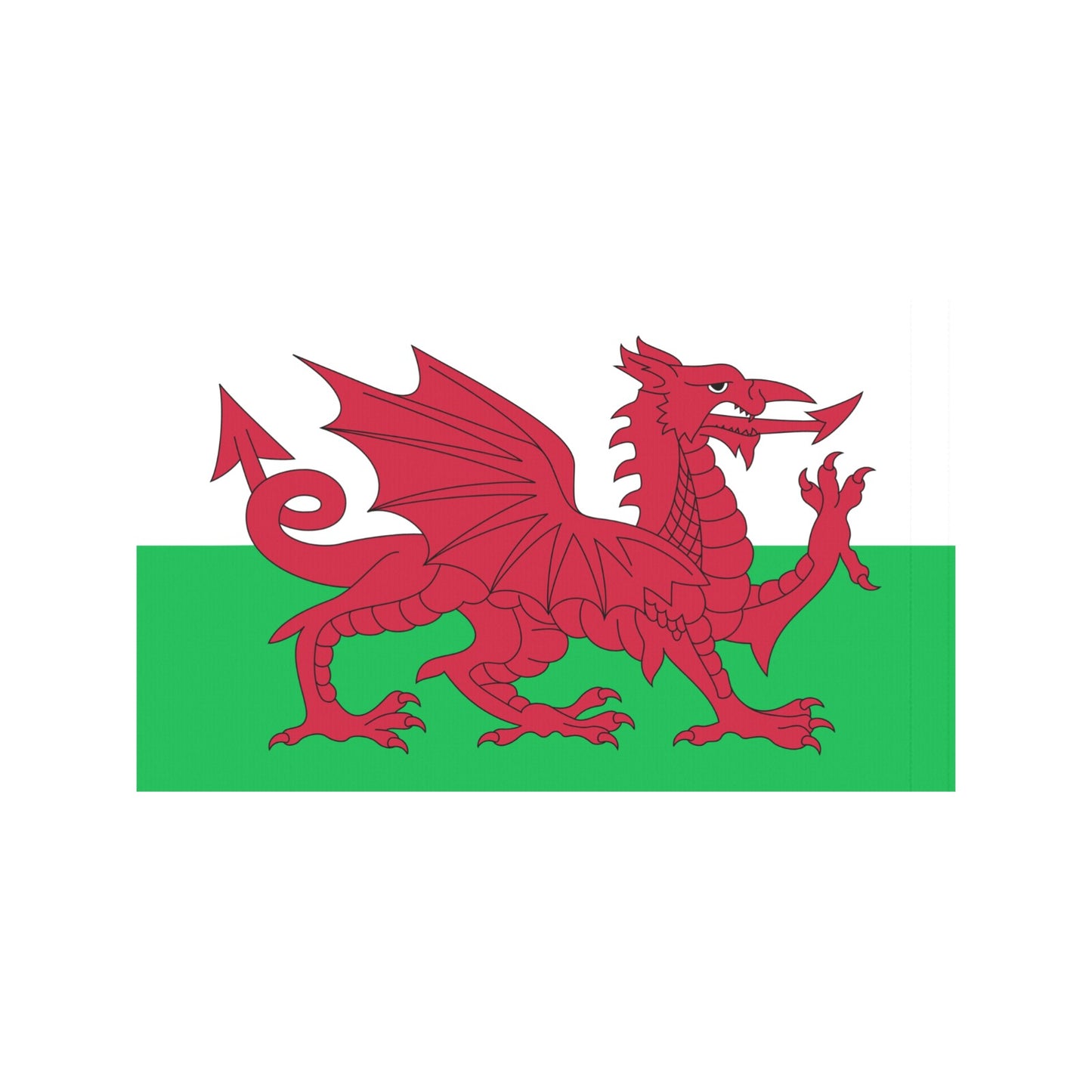Red dragon on Wales flag by Luv My Flag.