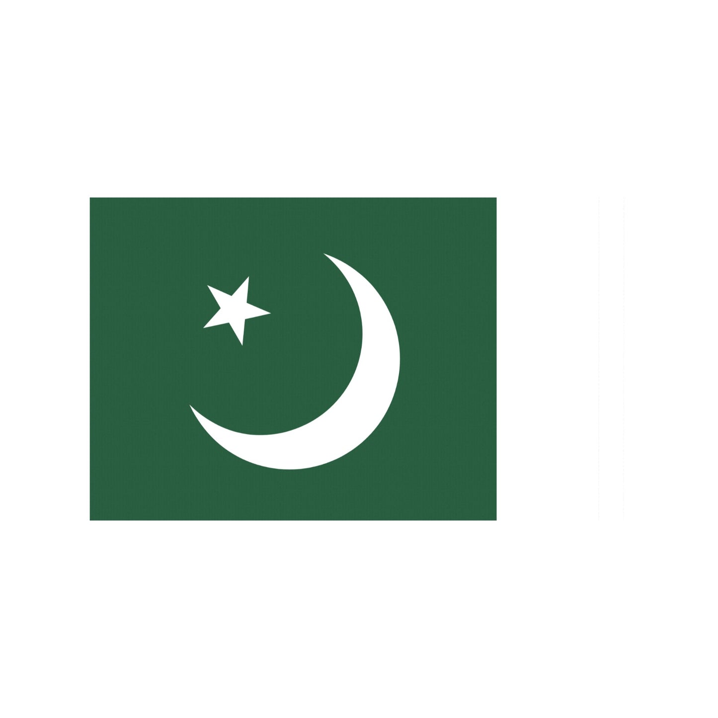 Pakistani flag with crescent, star by Luv My Flag.