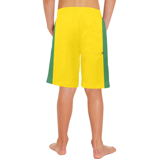 Brazil Flag Inspired Boys Beach Shorts