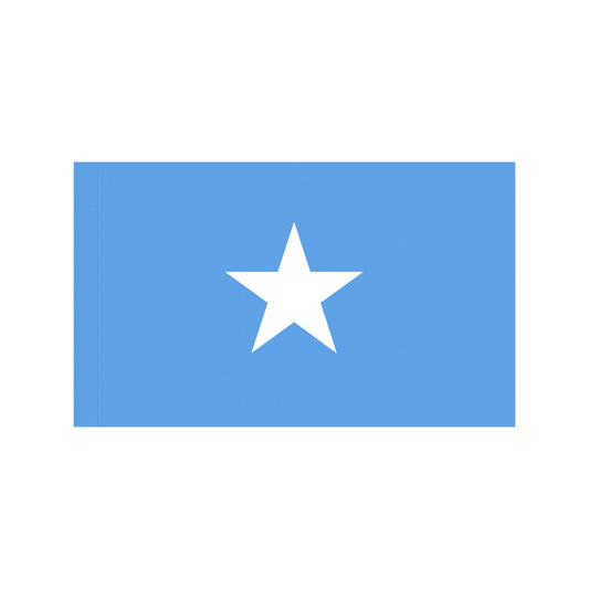 Blue flag with white star, designed by Luv My Flag.