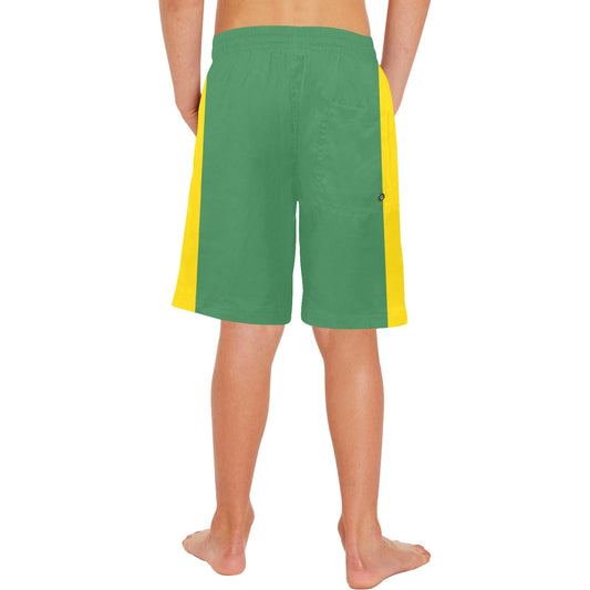 Brazil Flag Inspired Boys Beach Shorts (style-2)