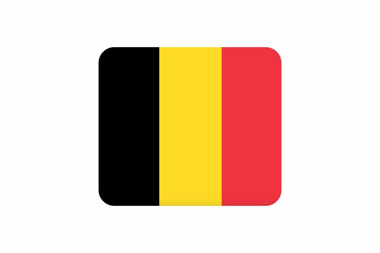 Belgium flag with three vertical stripes in black, yellow, and red from left to right.