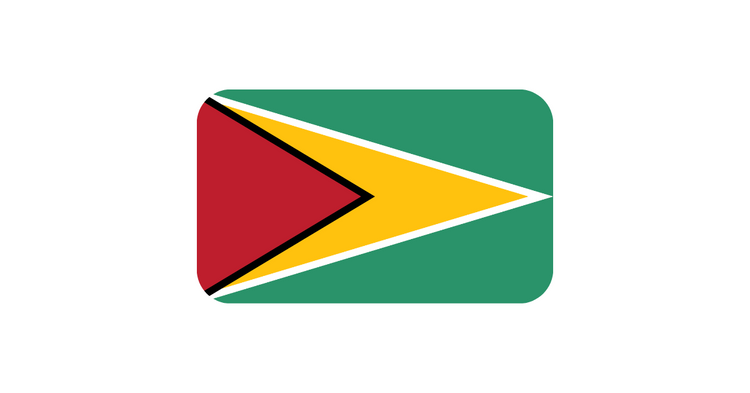 The Guyana Flag