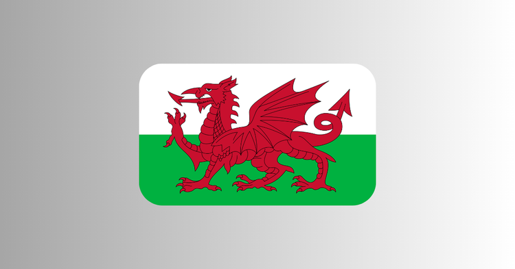 The flag of Wales.