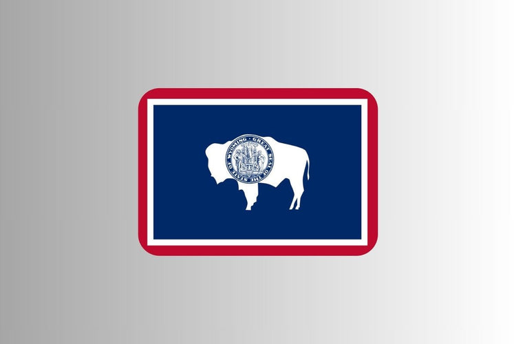 Wyoming state flag with a blue field bordered in white and red, featuring a white silhouette of an American bison in the center with the state seal overlaid on the bison.