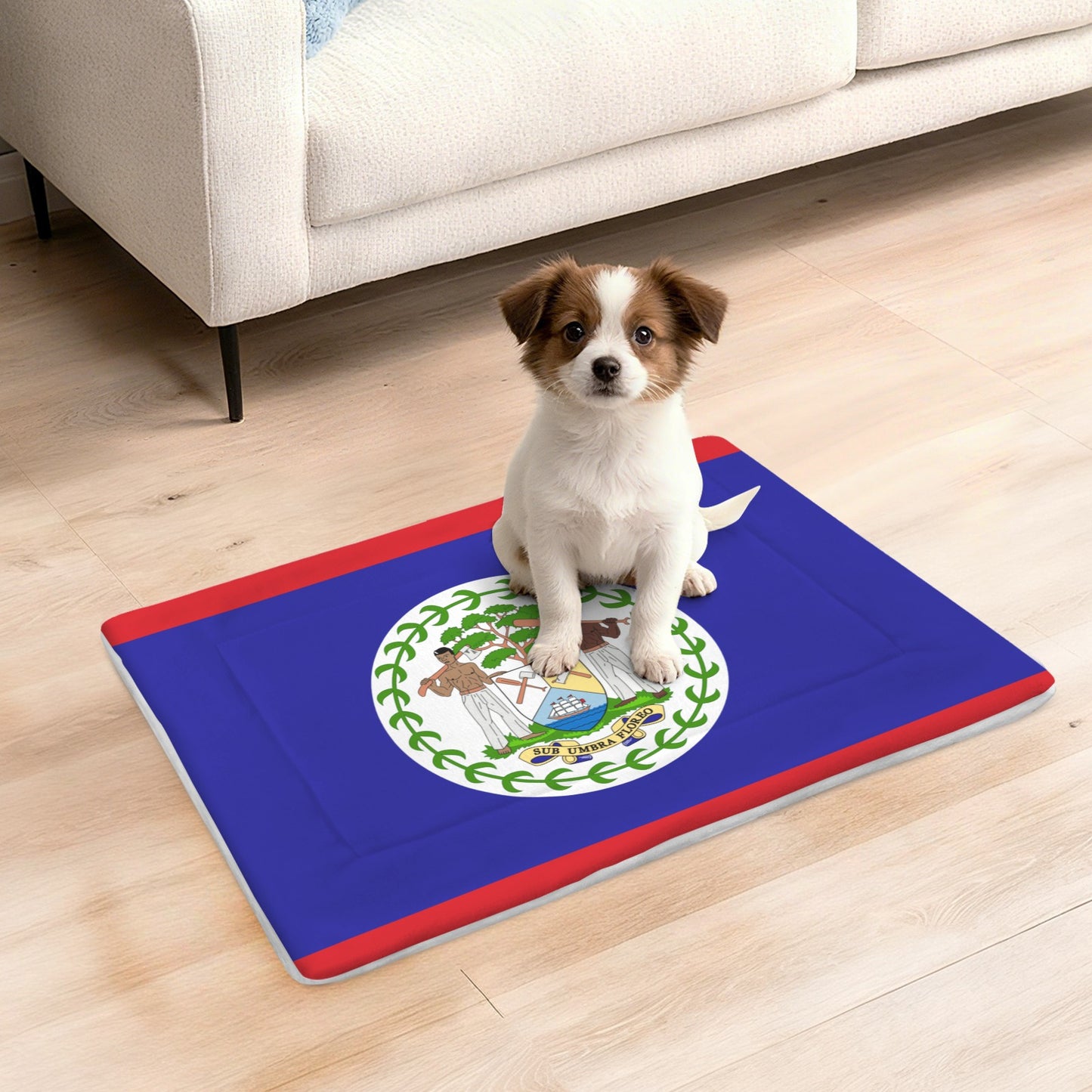 Belize Flag Inspired Pet Mat 25x18inch (Made in the USA)