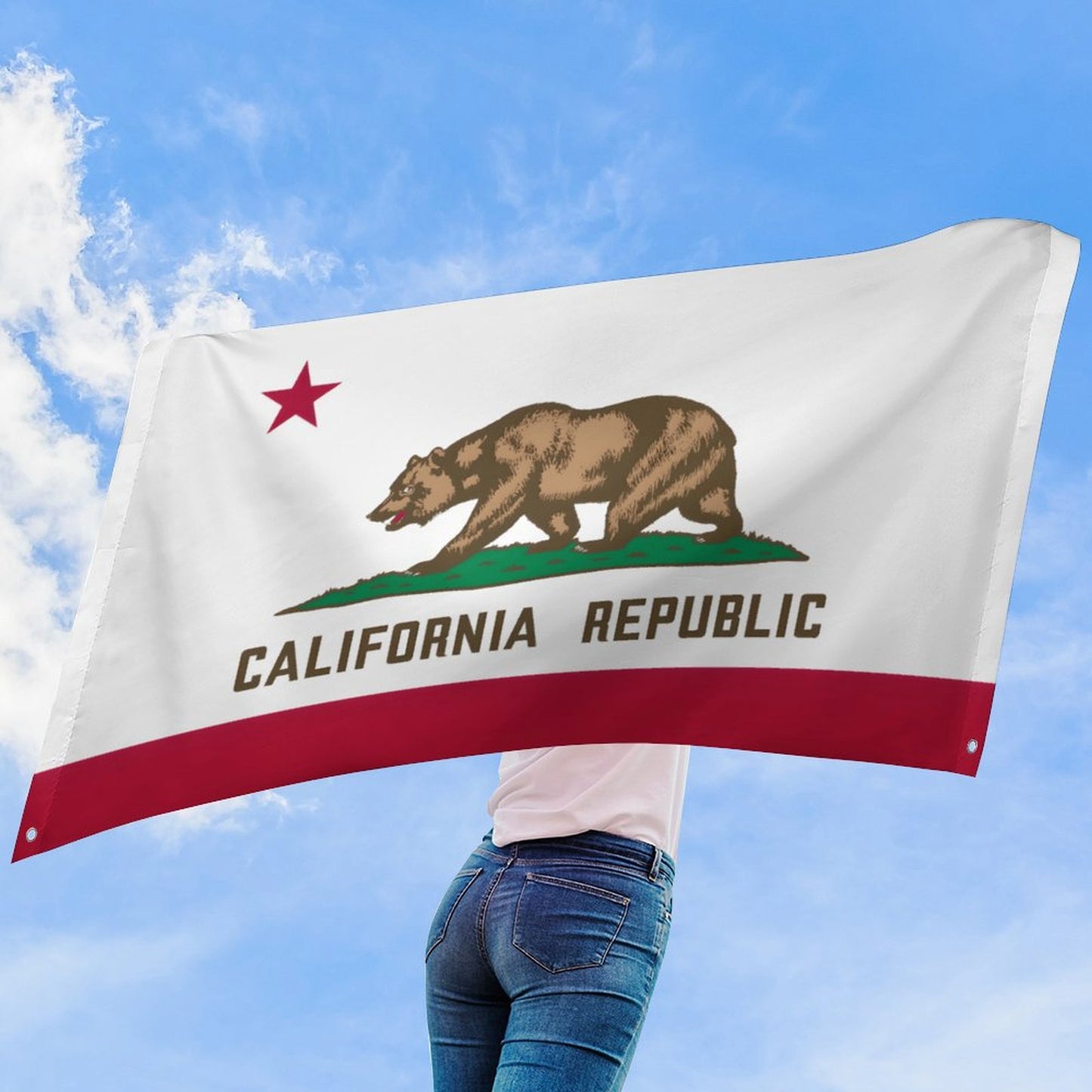California Flag Inspired Wall Mount Flag with Four Grommets (35x59 in)