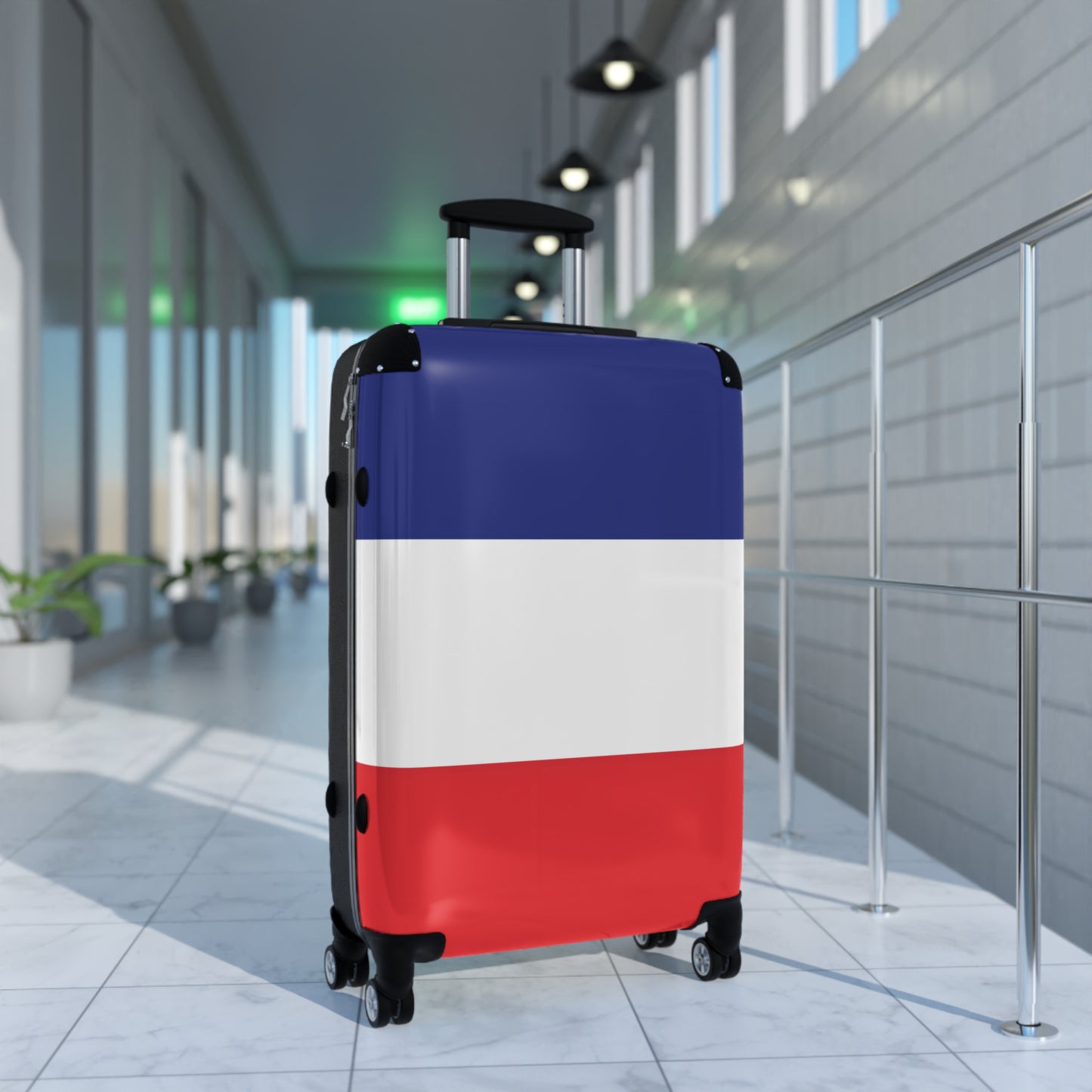 France Flag Inspired Suitcase