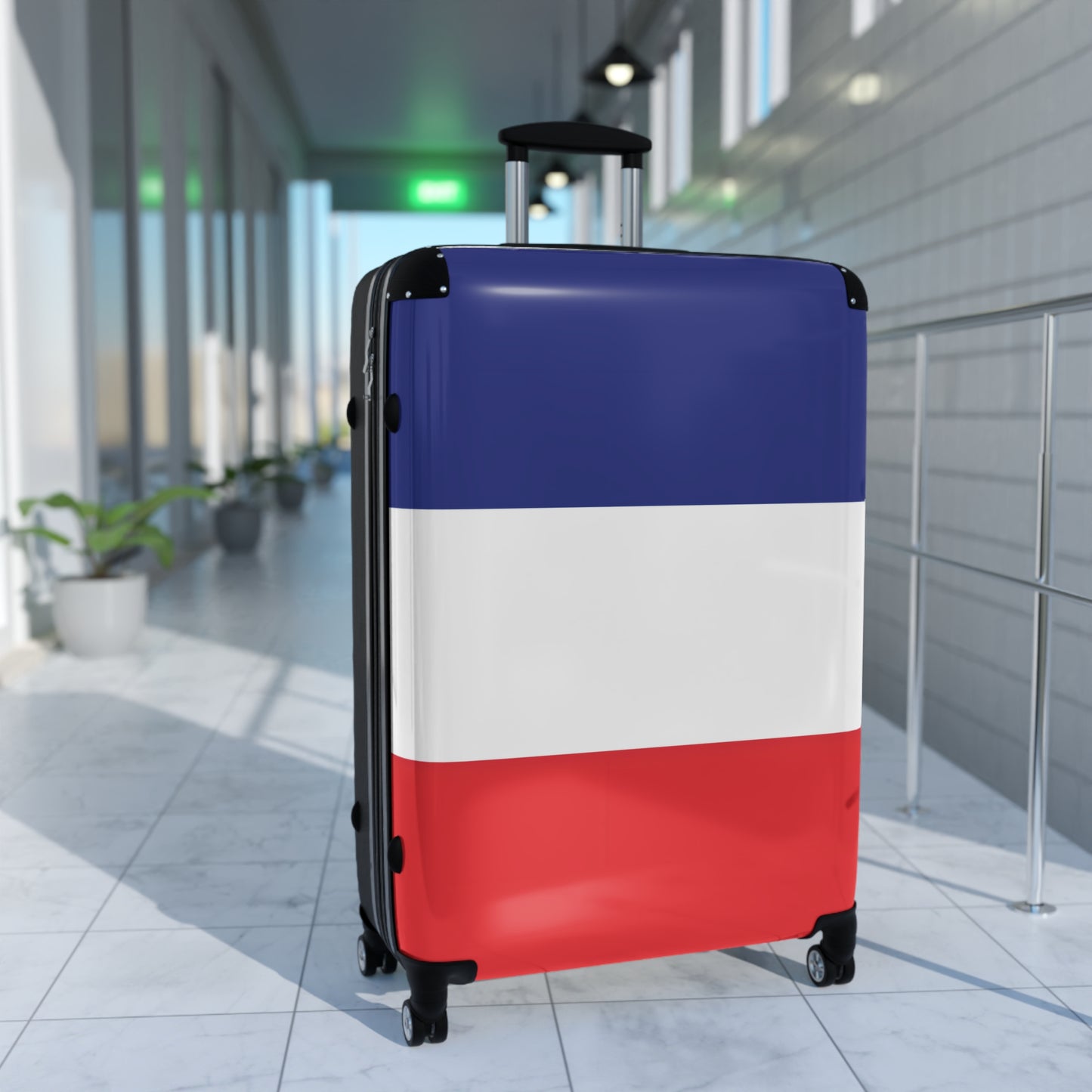 France Flag Inspired Suitcase