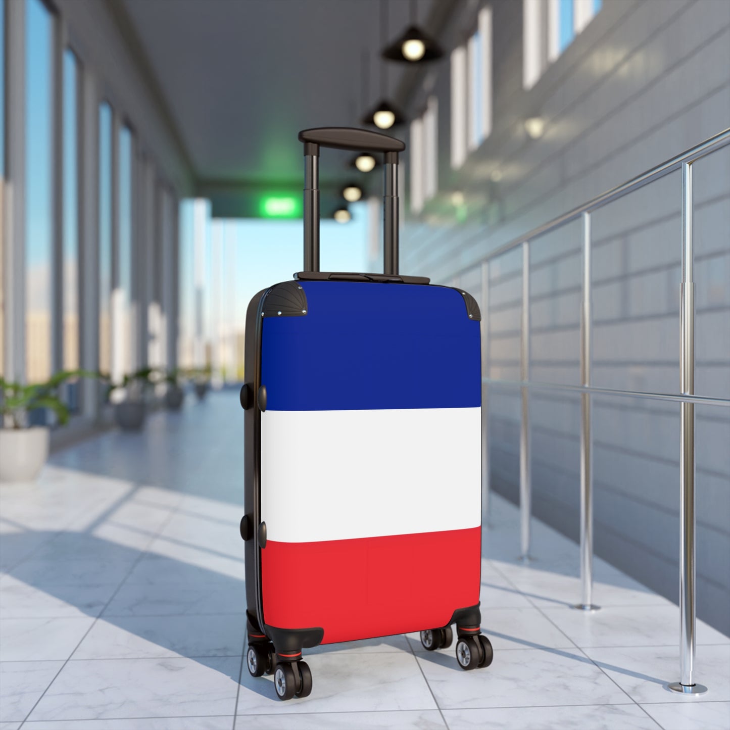 France Flag Inspired Suitcase