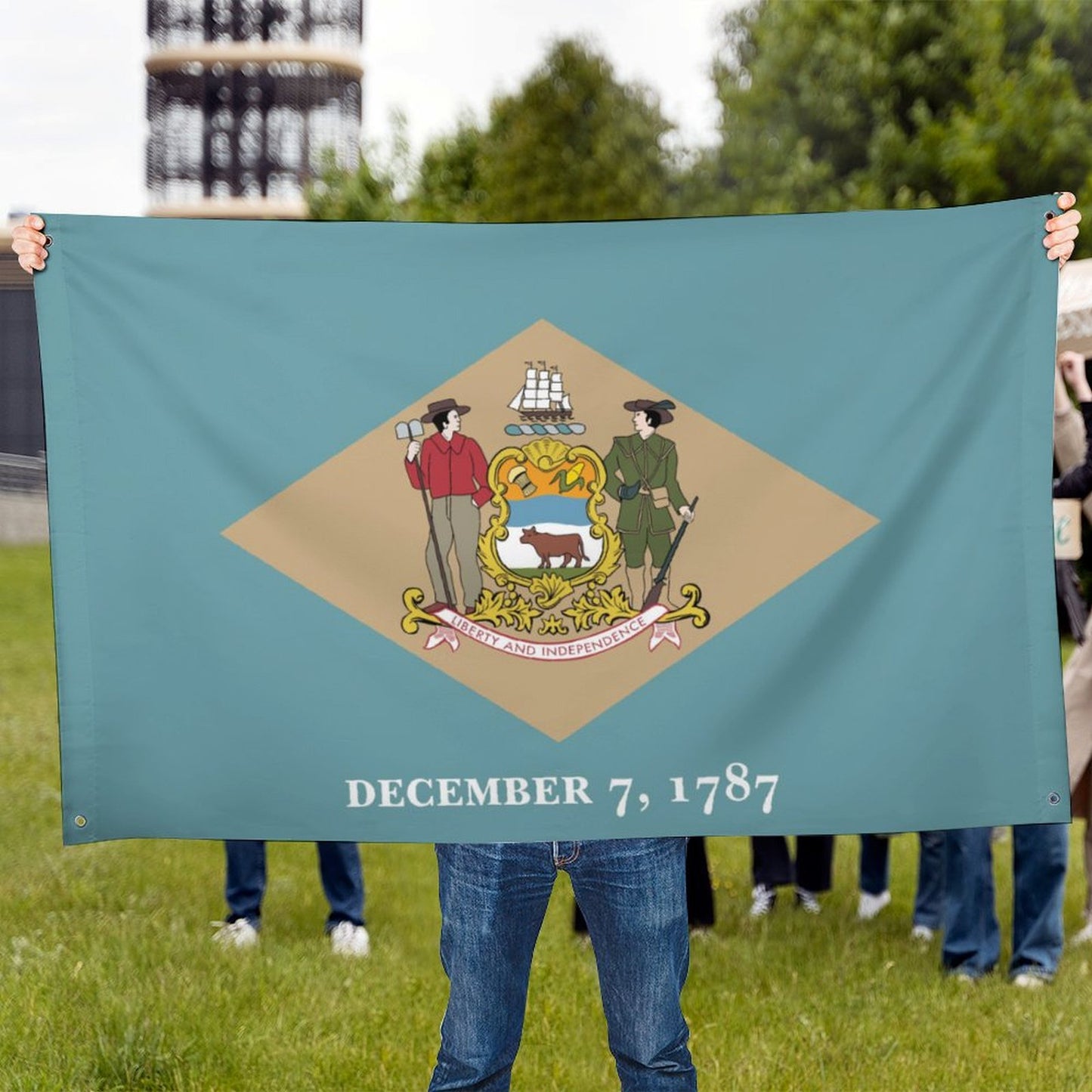 Delaware Flag Inspired Wall Mount Flag with Four Grommets (35x59 in)