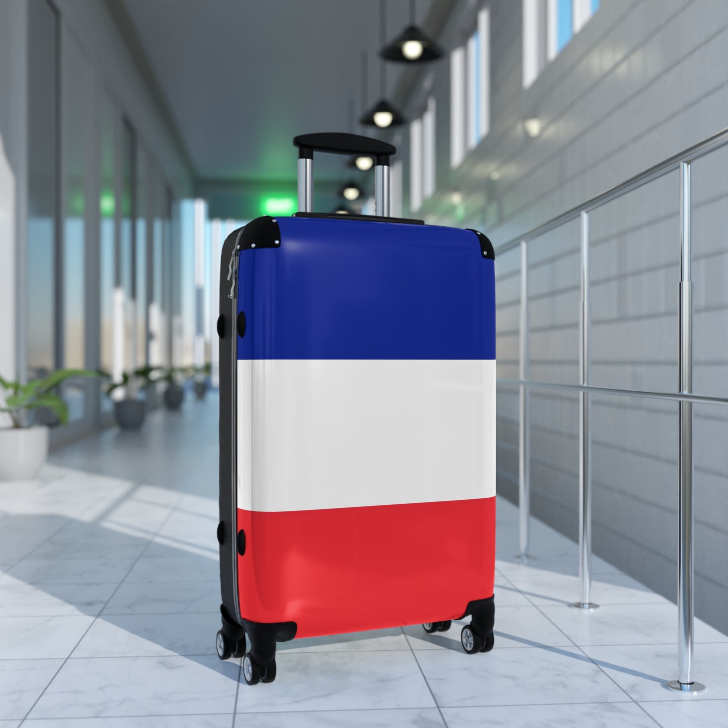 France Flag Inspired Suitcase
