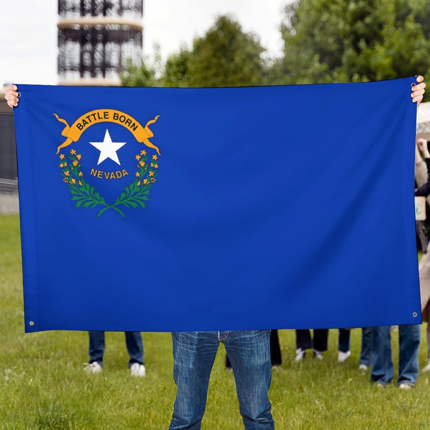 Nevada Flag Inspired Wall Mount Flag with Four Grommets (35x59 in)