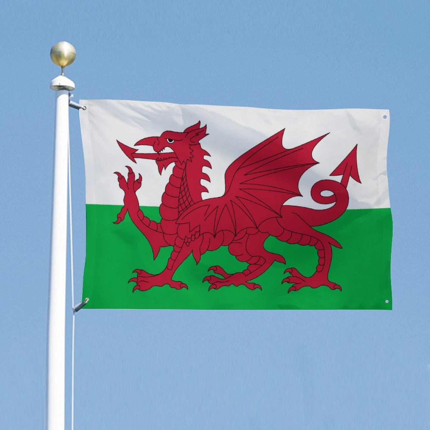 Wales Flag Inspired Wall Mount Flag with Four Grommets (35x59 in)