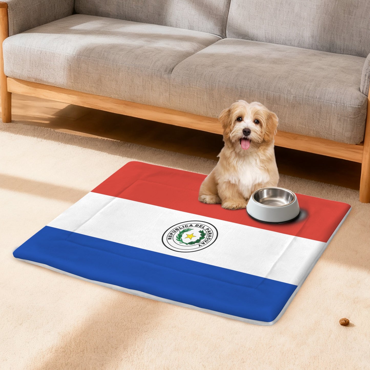 Paraguay Flag Inspired Pet Mat 25x18inch (Made in the USA)