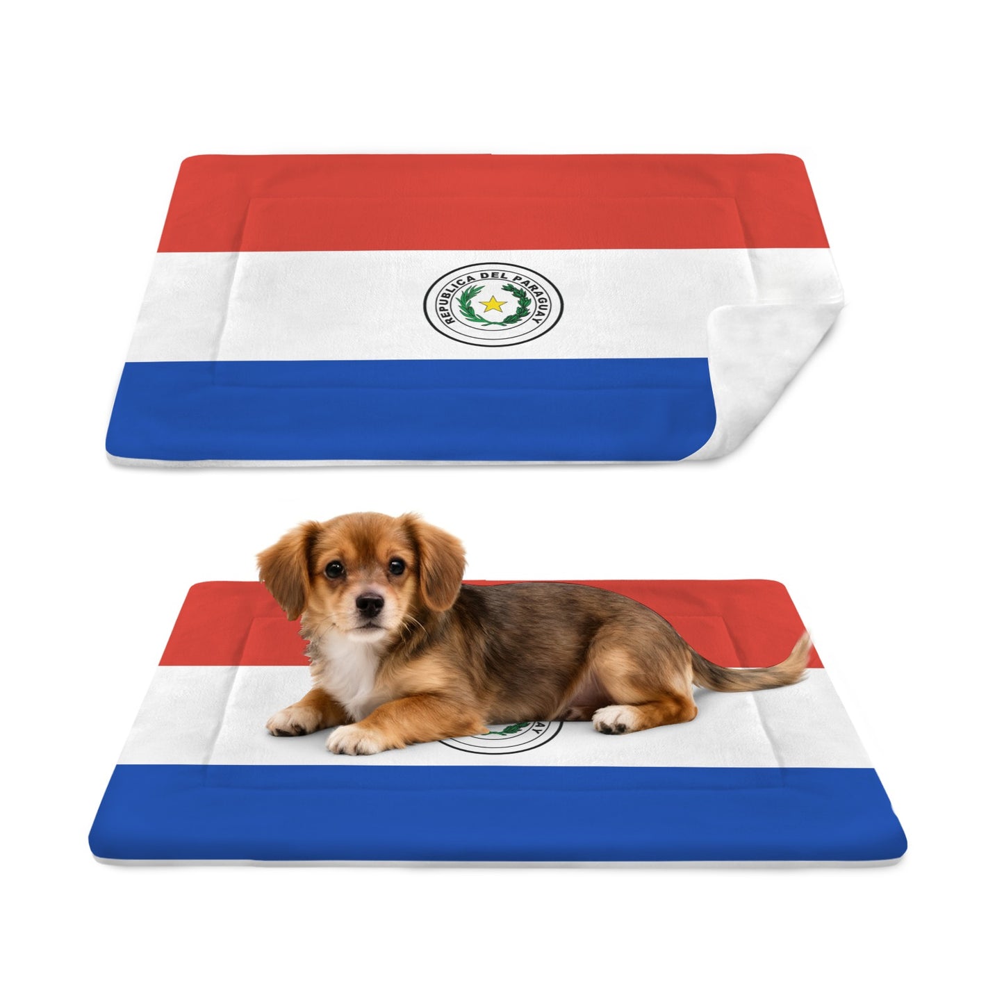 Paraguay Flag Inspired Pet Mat 25x18inch (Made in the USA)