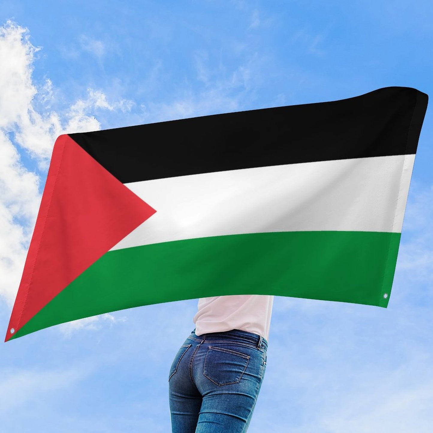 Palastine Flag Inspired Wall Mount Flag with Four Grommets (35x59 in)