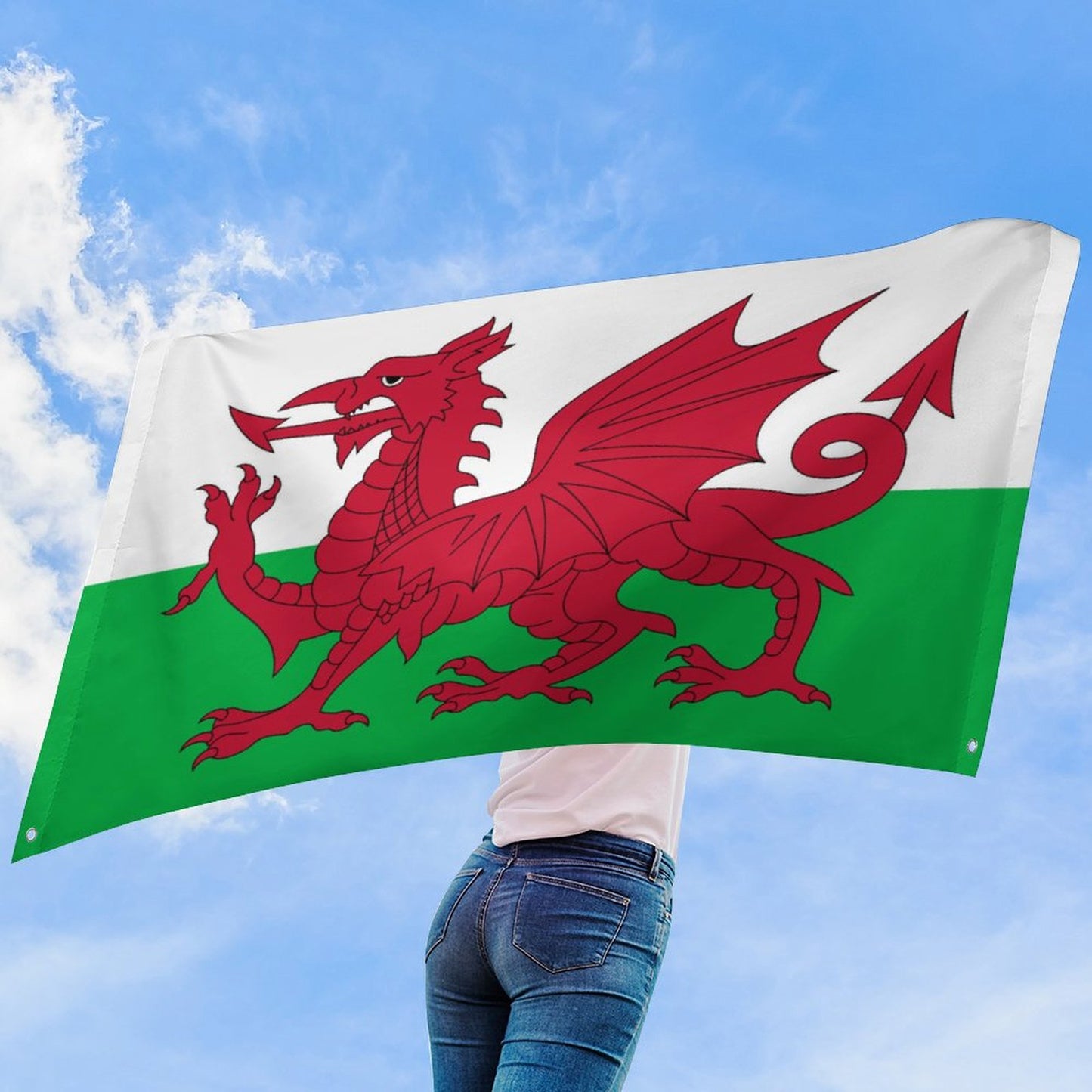 Wales Flag Inspired Wall Mount Flag with Four Grommets (35x59 in)