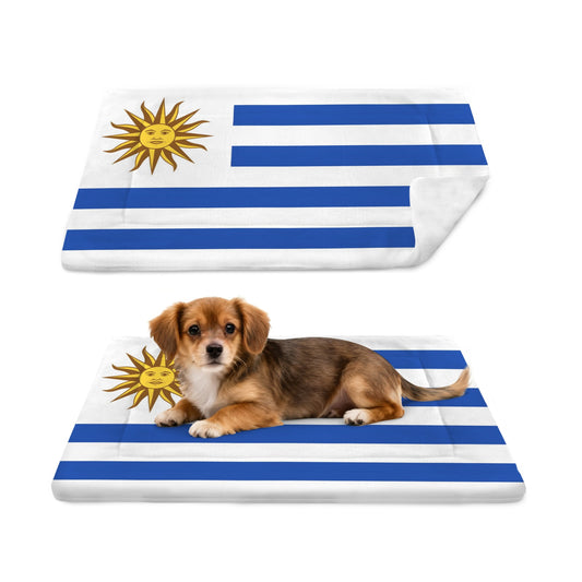 Uruguay Flag Inspired Pet Mat 25x18inch (Made in the USA)