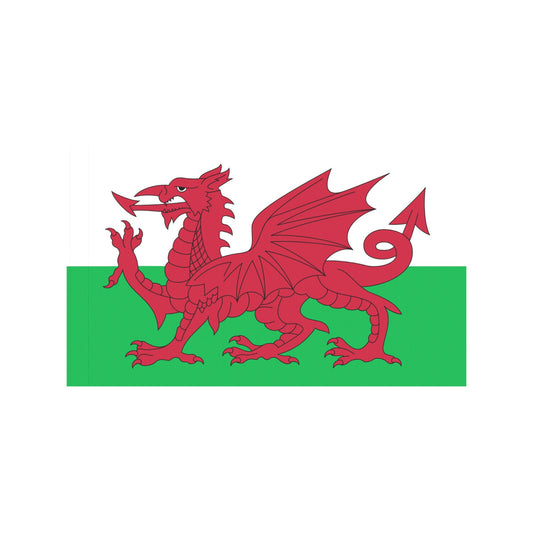 Luv My Flag Welsh flag with red dragon design.
