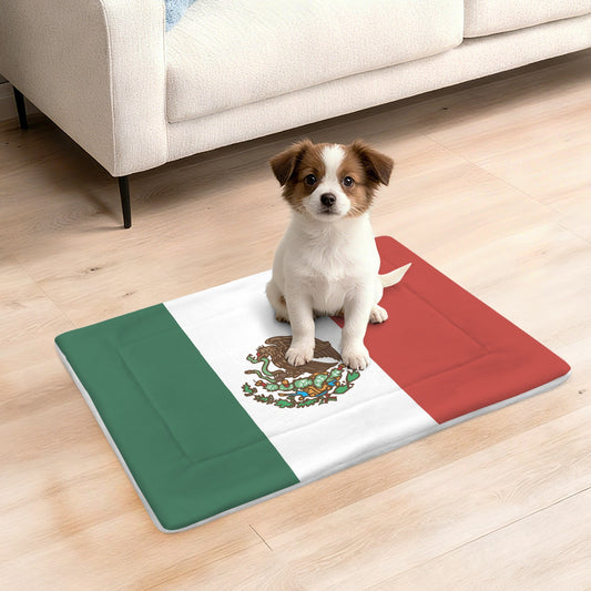 Mexico Flag Inspired Pet Mat 25x18inch | Ships from USA
