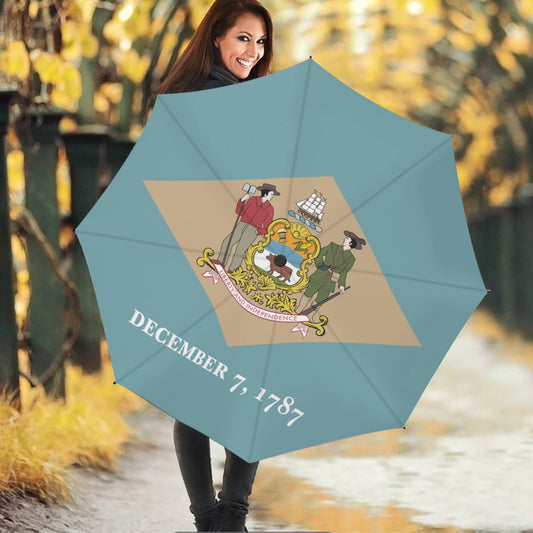 Delaware State Flag Auto Open & Close Travel Umbrella