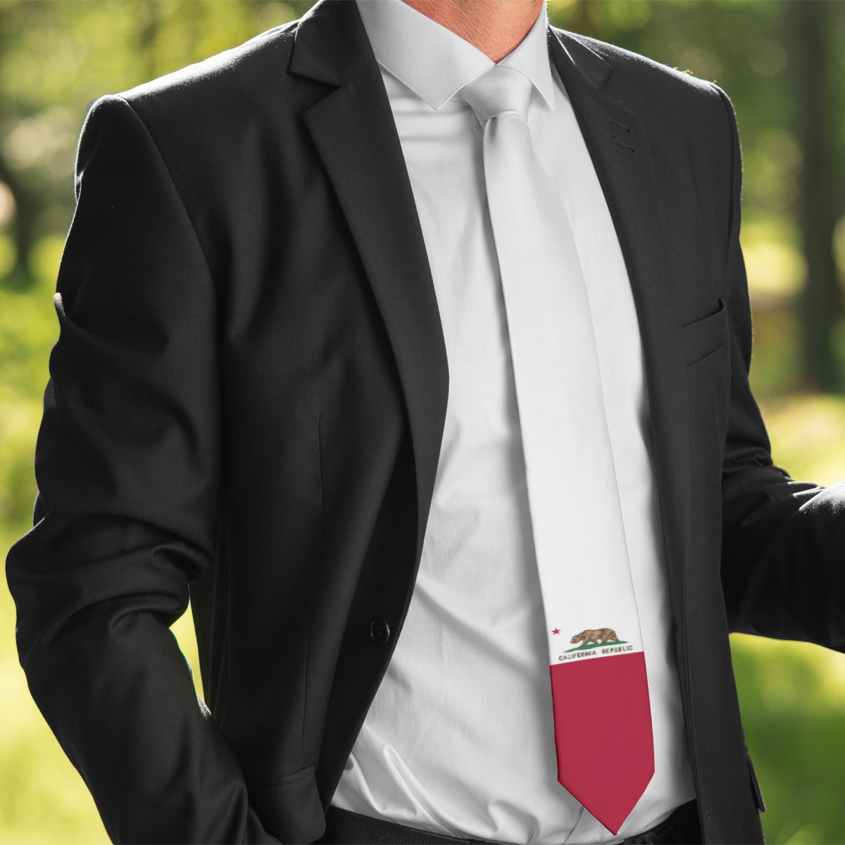 Man in suit wearing [Brand] tie with California Republic design.