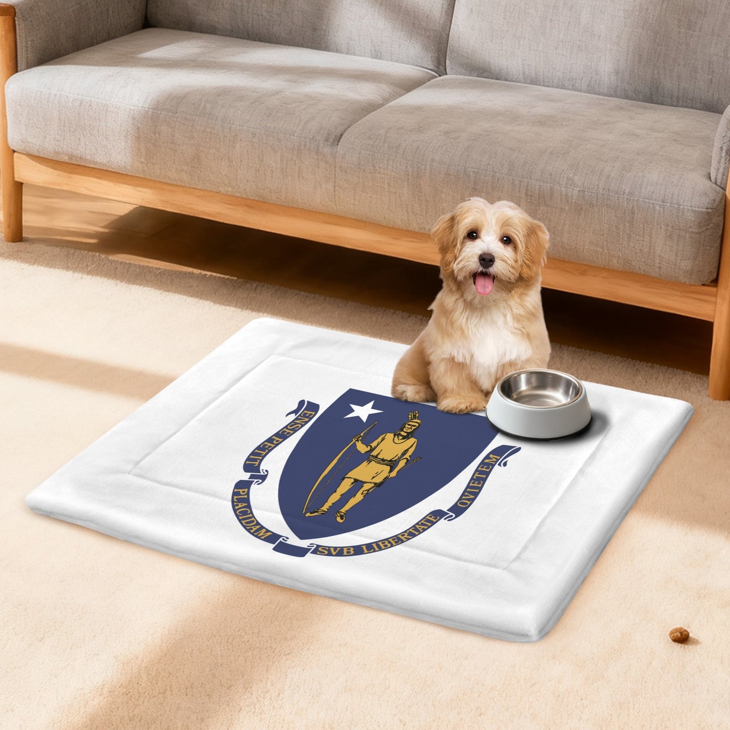 Massachusetts Flag Inspired Pet Mat 25x18inch (Made in the USA)