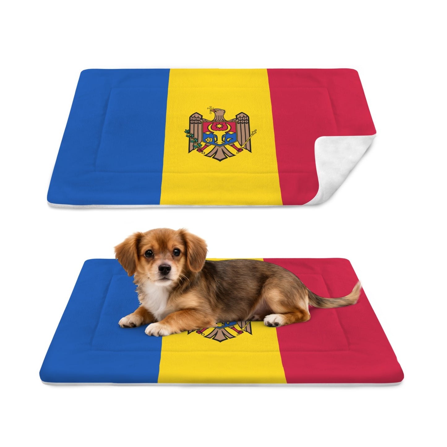 Moldova Flag Inspired Pet Mat 25x18inch (Made in the USA)