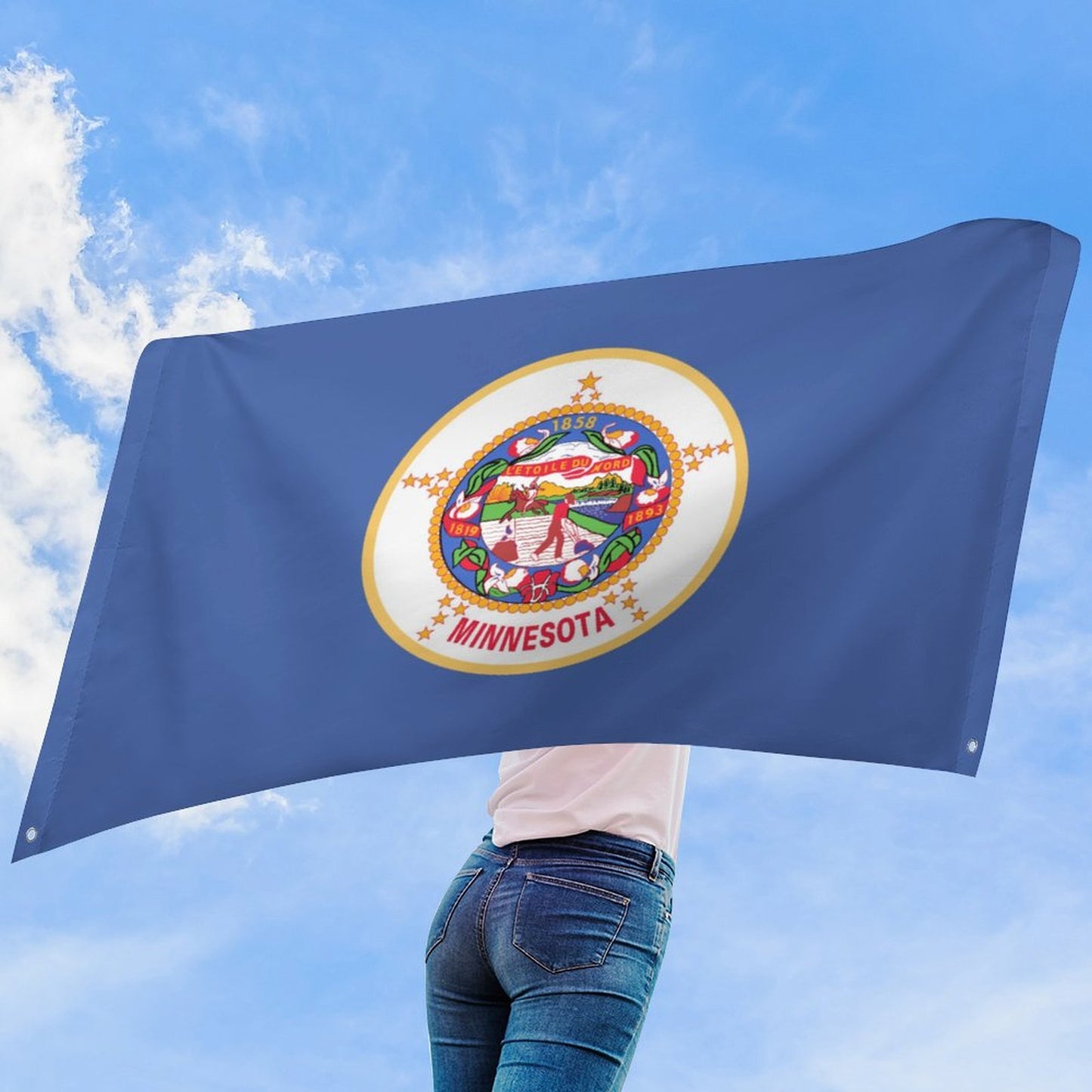 Minnesota (retired) Flag Inspired Wall Mount Flag with Four Grommets (35x59 in)