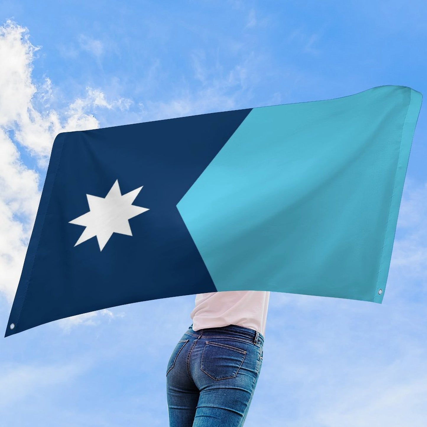 Minnesota (current)Flag Inspired Wall Mount Flag with Four Grommets (35x59 in)