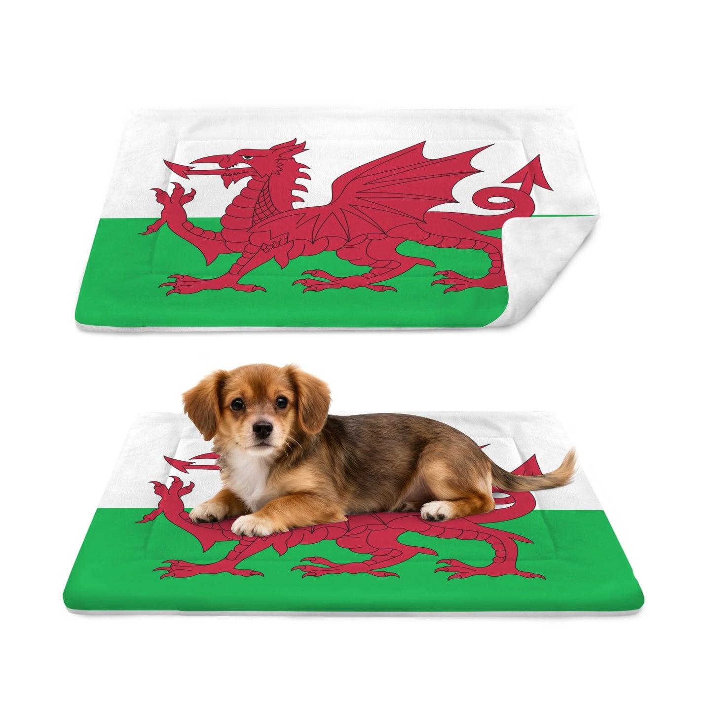 Wales Flag Inspired Pet Mat 25x18inch (Made in the USA)