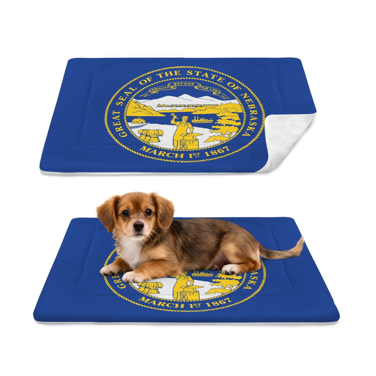 Nebraska Flag Inspired Pet Mat 25x18inch (Made in the USA)
