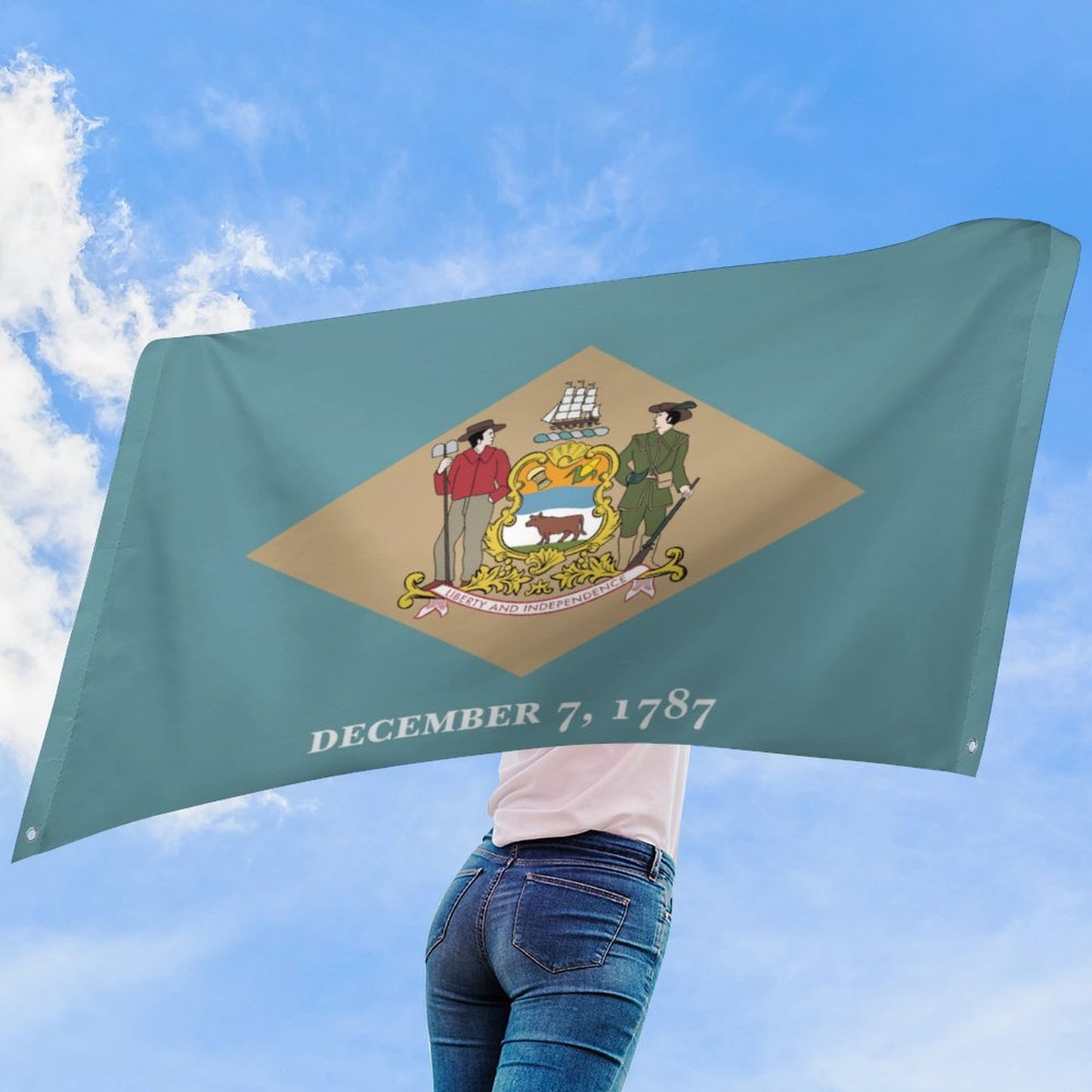 Delaware Flag Inspired Wall Mount Flag with Four Grommets (35x59 in)