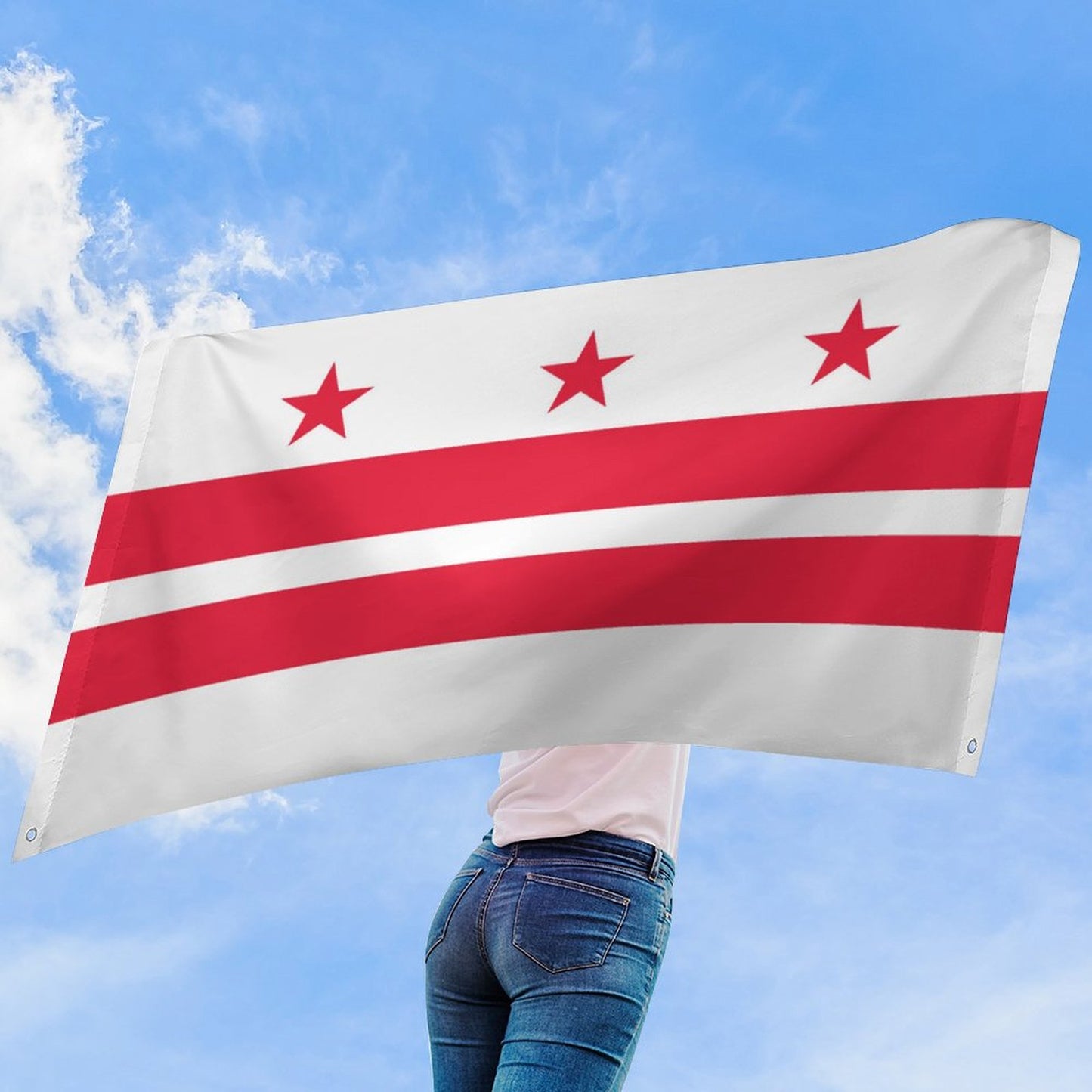 Washington DC Flag Inspired Wall Mount Flag with Four Grommets (35x59 in)