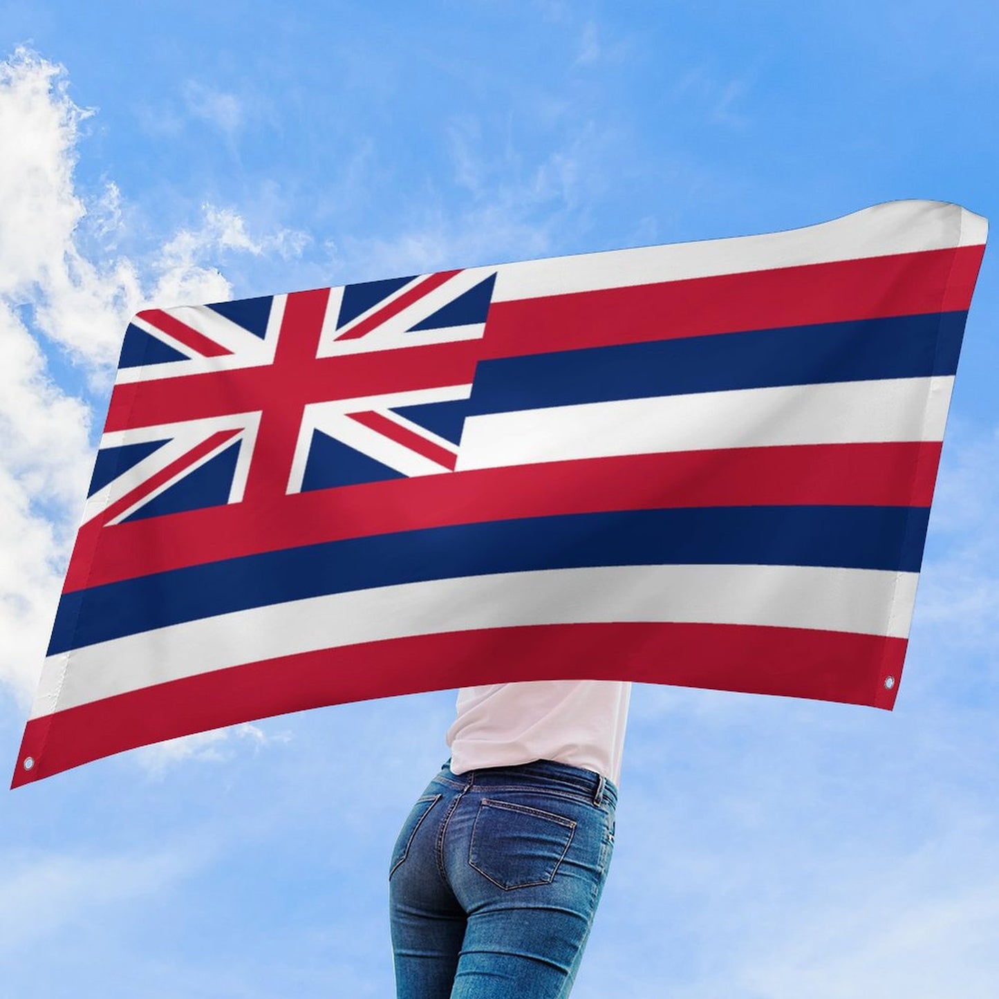 Hawaii Flag Inspired Wall Mount Flag with Four Grommets (35x59 in)