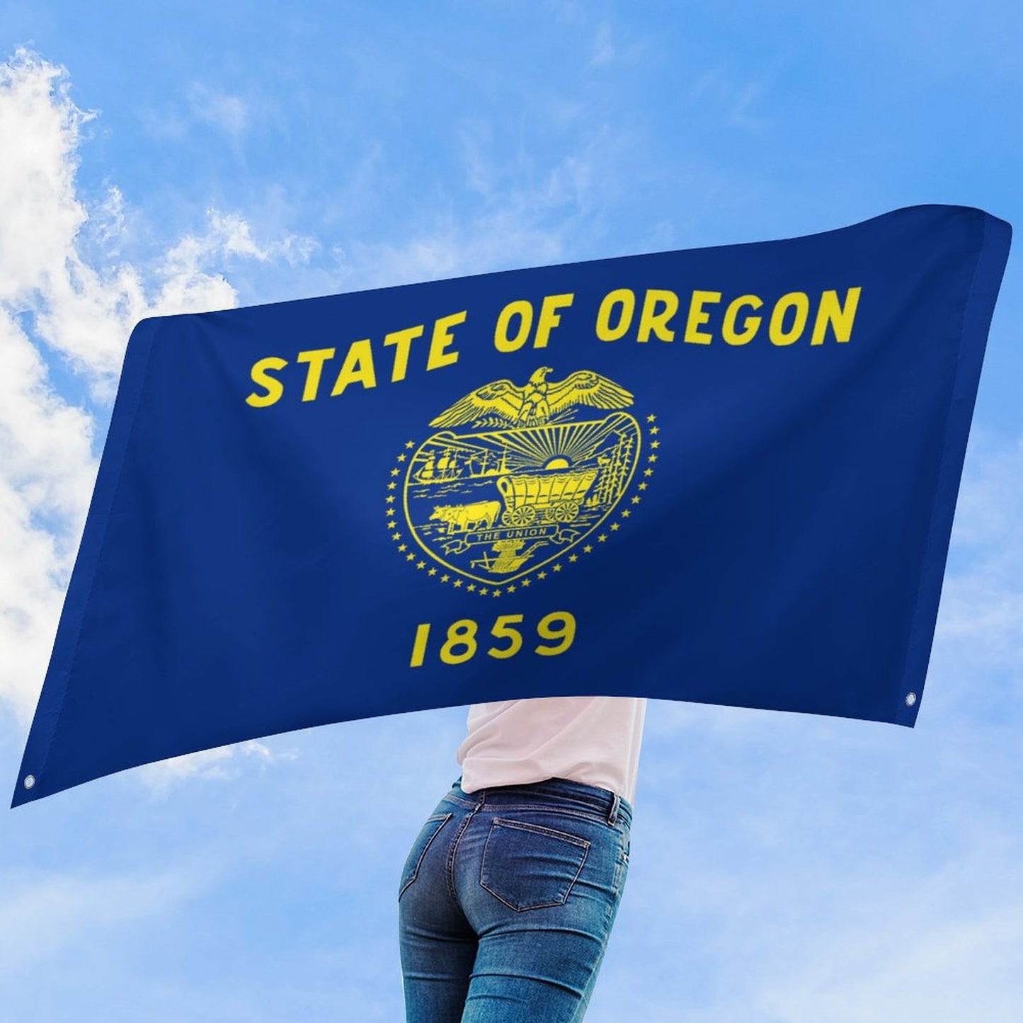 Oregon Flag Inspired Wall Mount Flag with Four Grommets (35x59 in)
