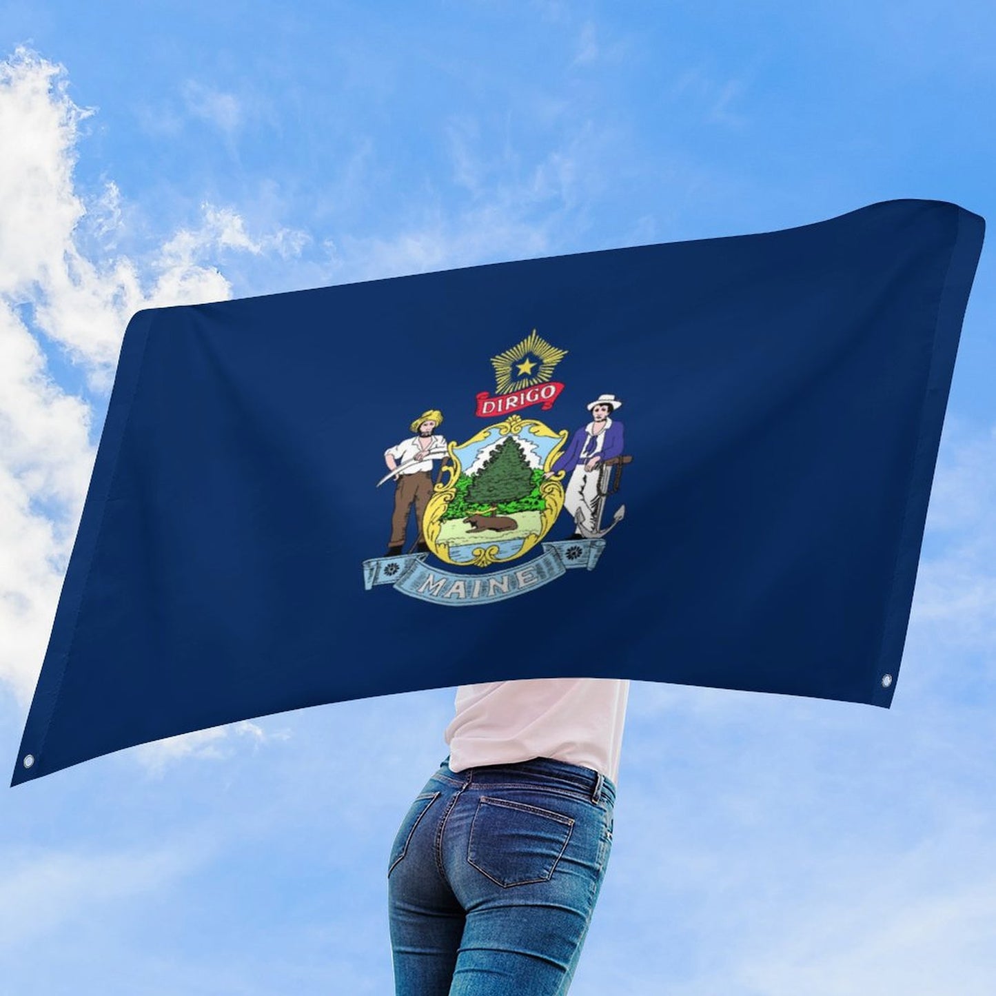 Maine Flag Inspired Wall Mount Flag with Four Grommets (35x59 in)