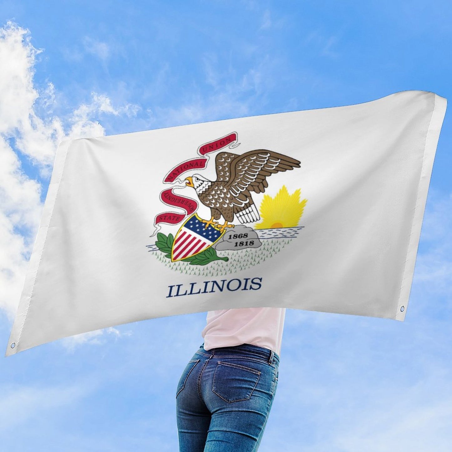 Illinois Flag Inspired Wall Mount Flag with Four Grommets (35x59 in)