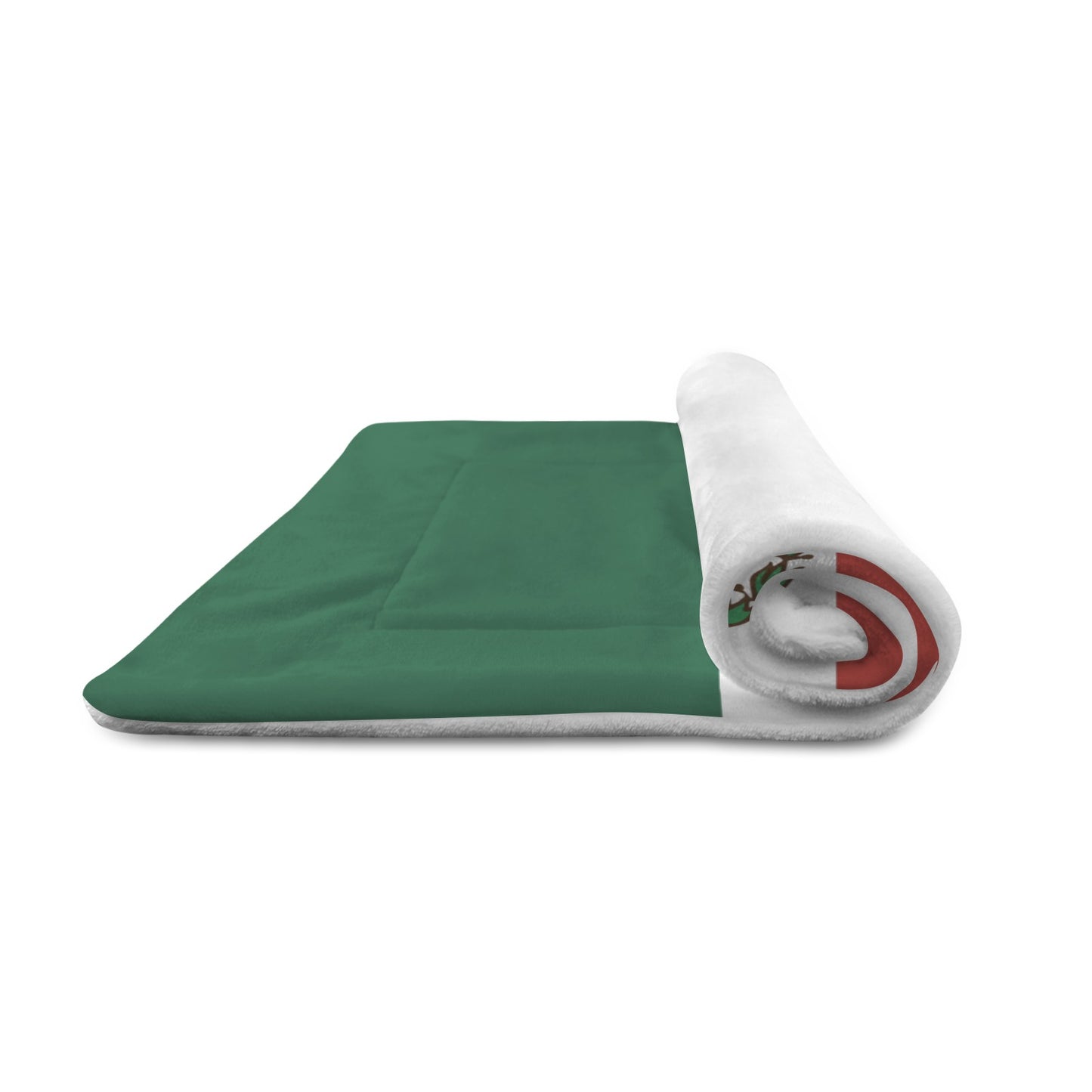 Mexico Flag Inspired Pet Mat 25x18inch | Ships from USA