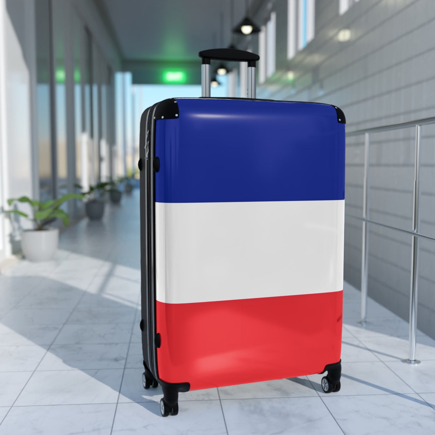 France Flag Inspired Suitcase