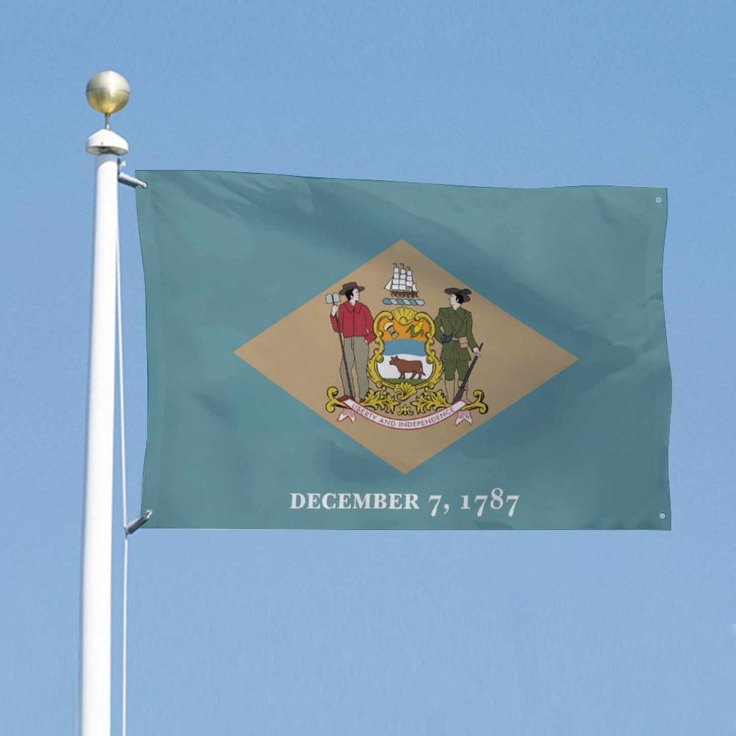 Delaware Flag Inspired Wall Mount Flag with Four Grommets (35x59 in)