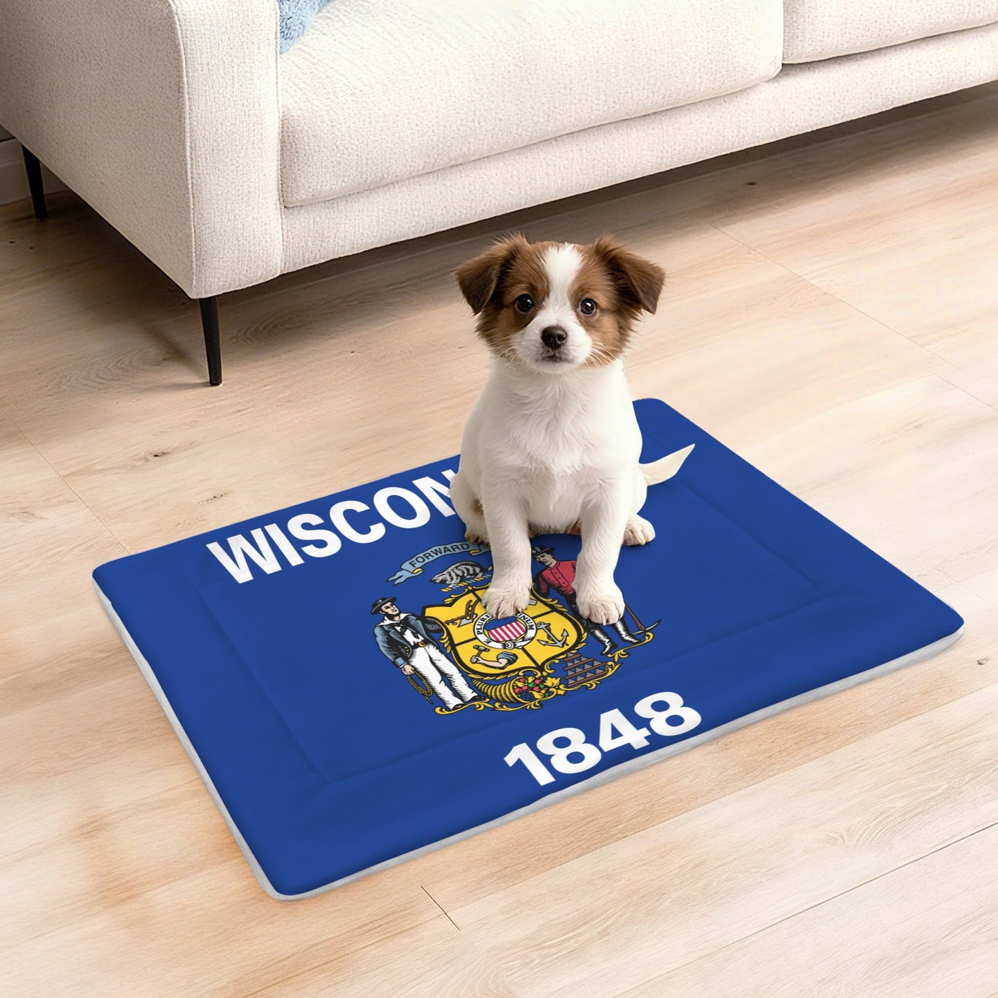 Wisconsin Flag Inspired Pet Mat 25x18inch (Made in the USA)