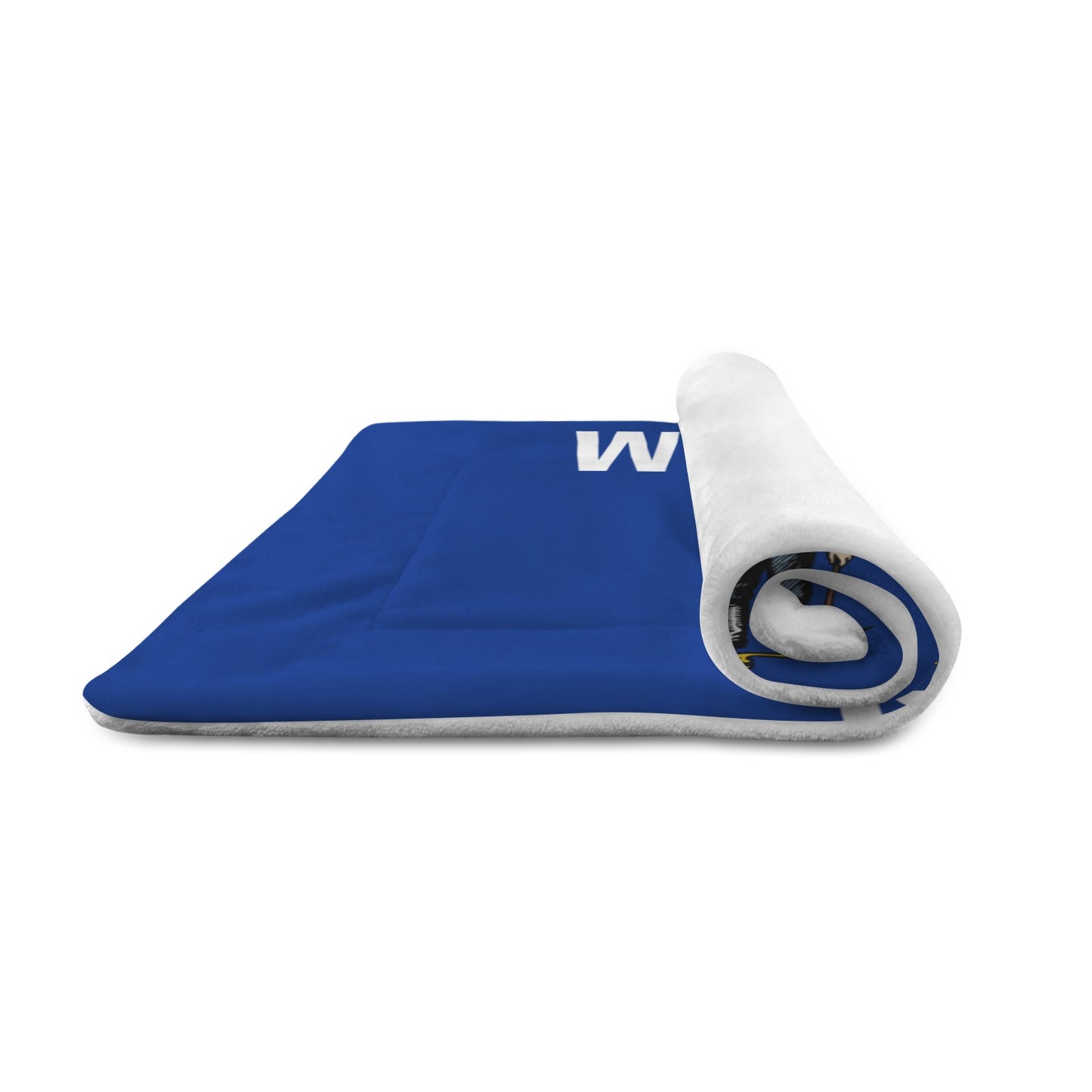 Wisconsin Flag Inspired Pet Mat 25x18inch (Made in the USA)